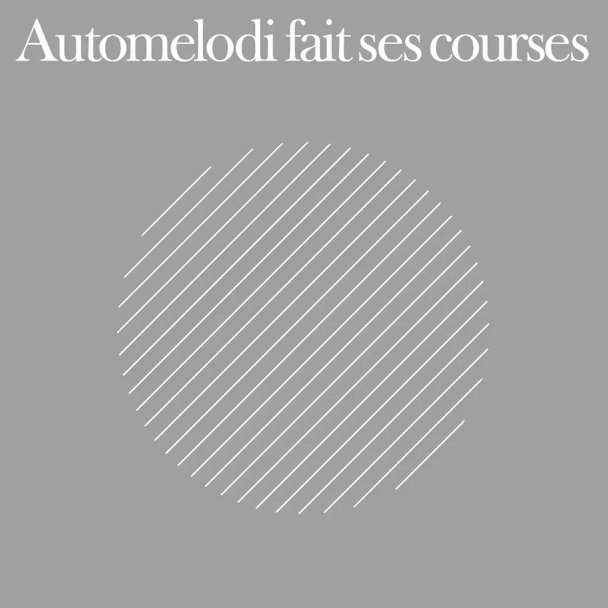 Automelodi fait ses courses